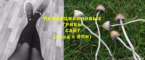 мяу мяу кристалл Богданович