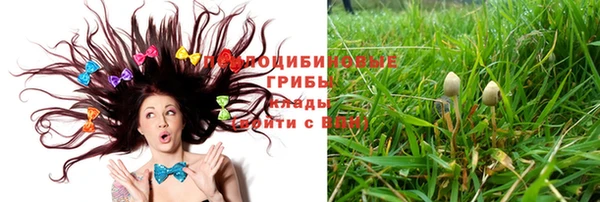 мяу мяу кристалл Богданович